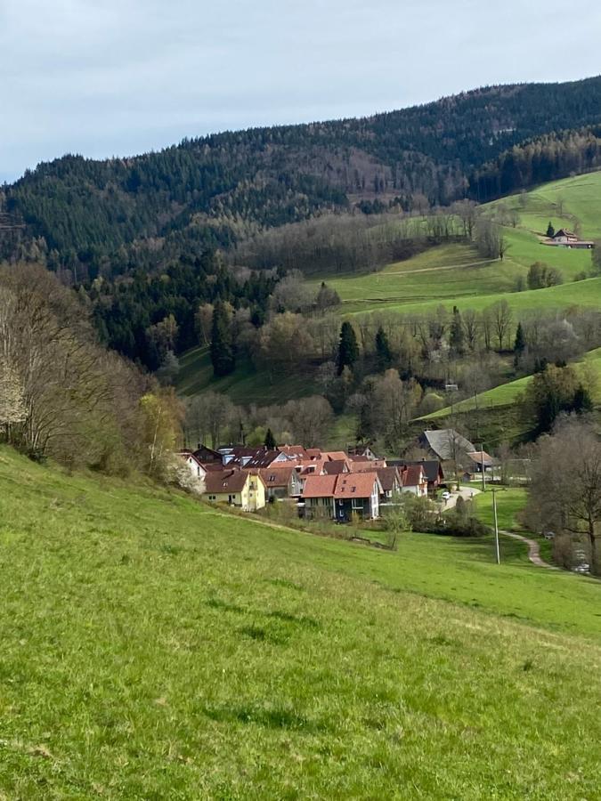 Schwarzwaldglueck Apartment Oberried  Luaran gambar