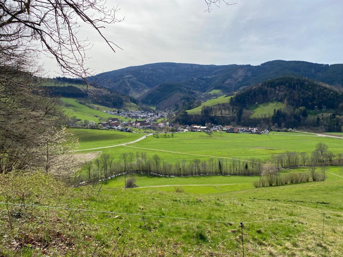 Schwarzwaldglueck Apartment Oberried  Luaran gambar